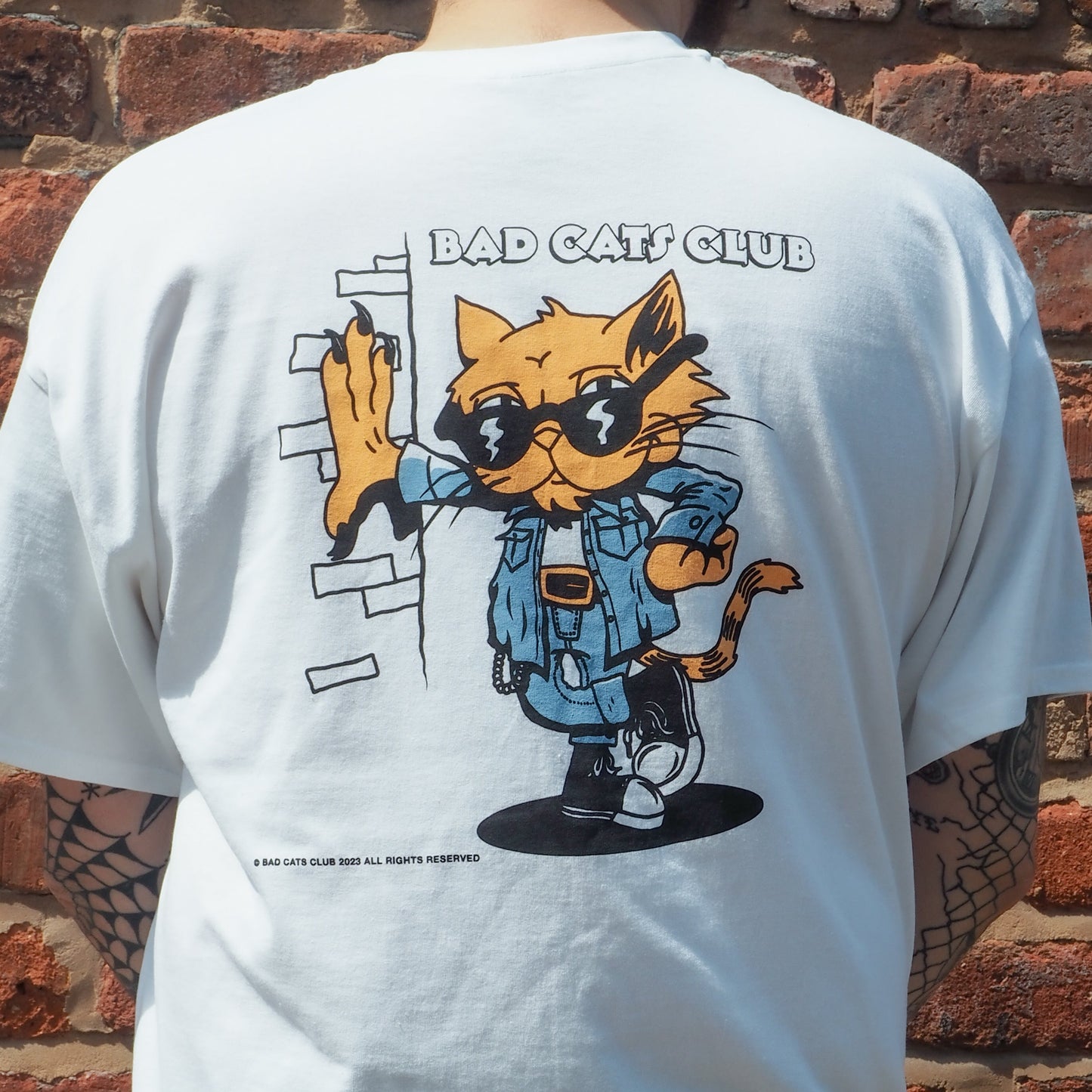 Cool Cat Tee